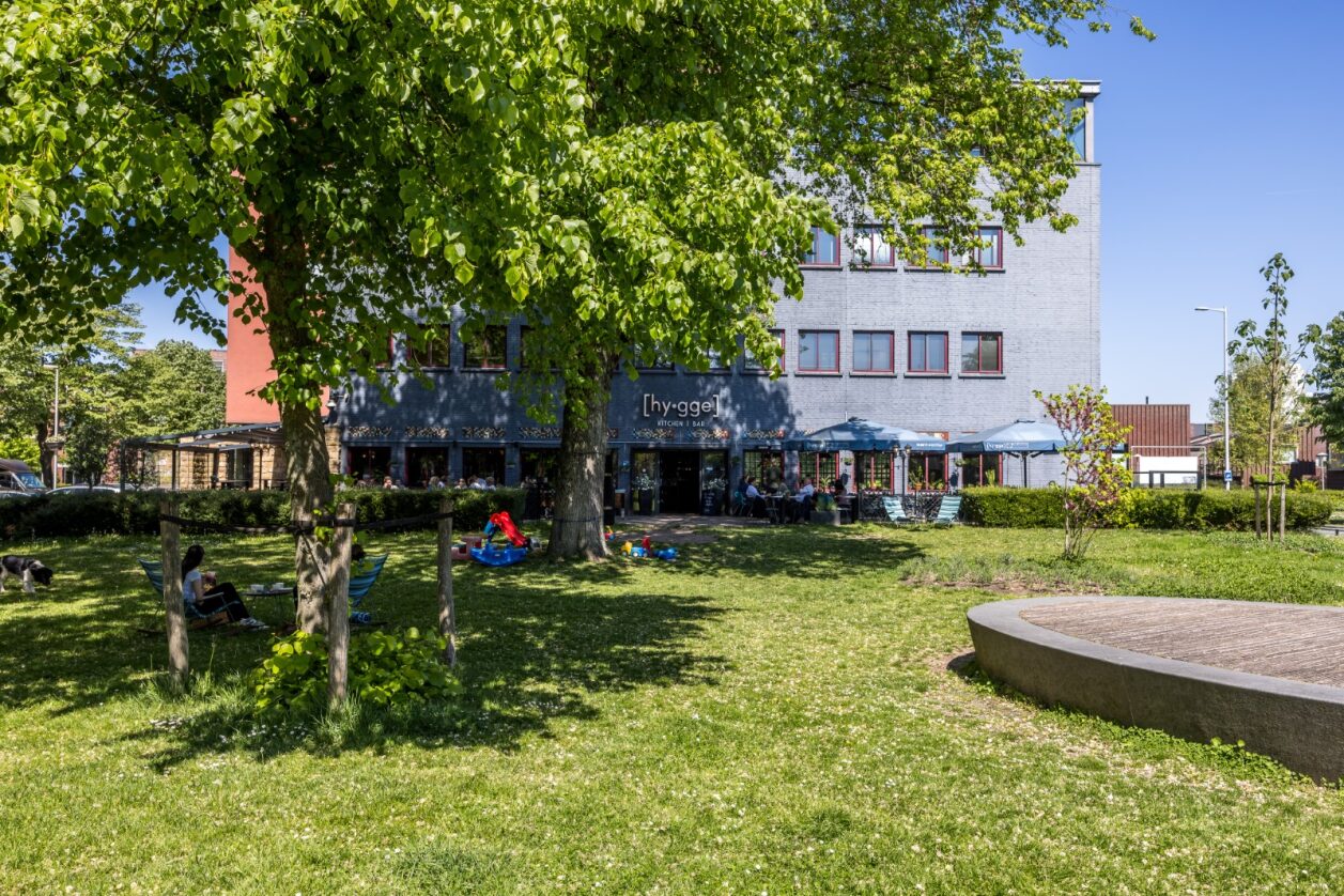 Goeman Borgesiuslaan in Utrecht