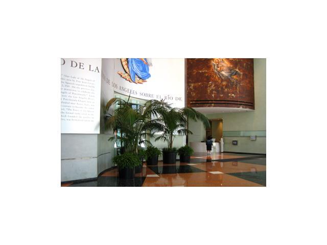 555 W 5th St in Los Angeles