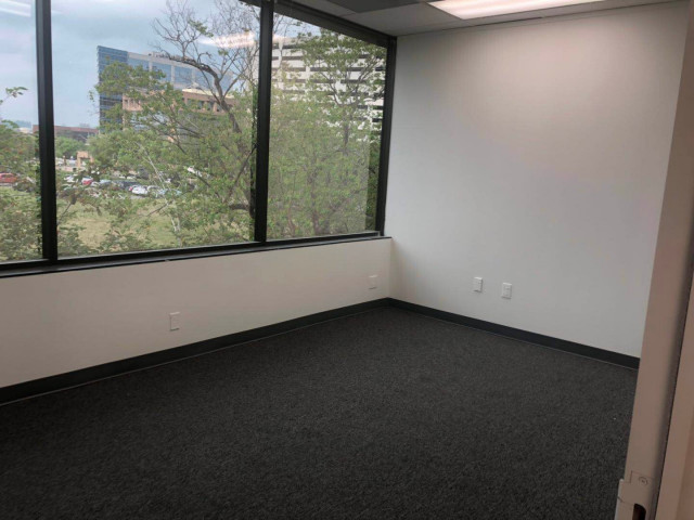 7707 Fannin St #250 in Houston