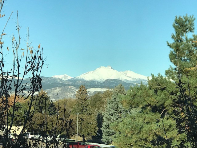 1079 S Hover St in Longmont