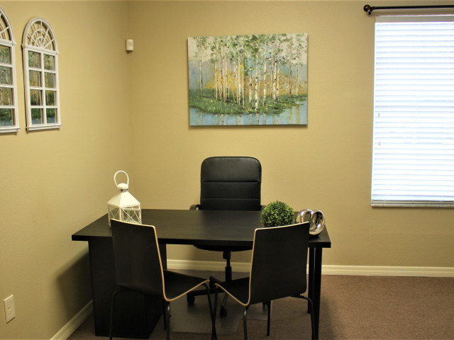 13361 N 56th St in Tampa