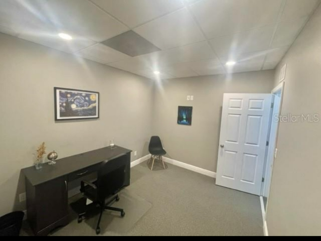 6272 Abbott Station Dr in Zephyrhills