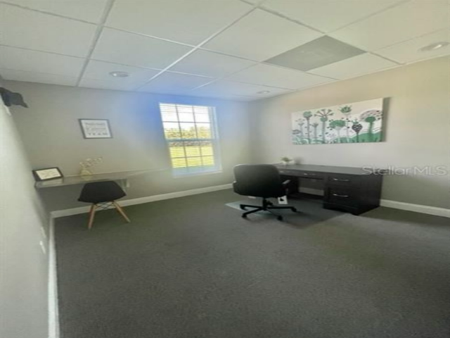 6272 Abbott Station Dr in Zephyrhills