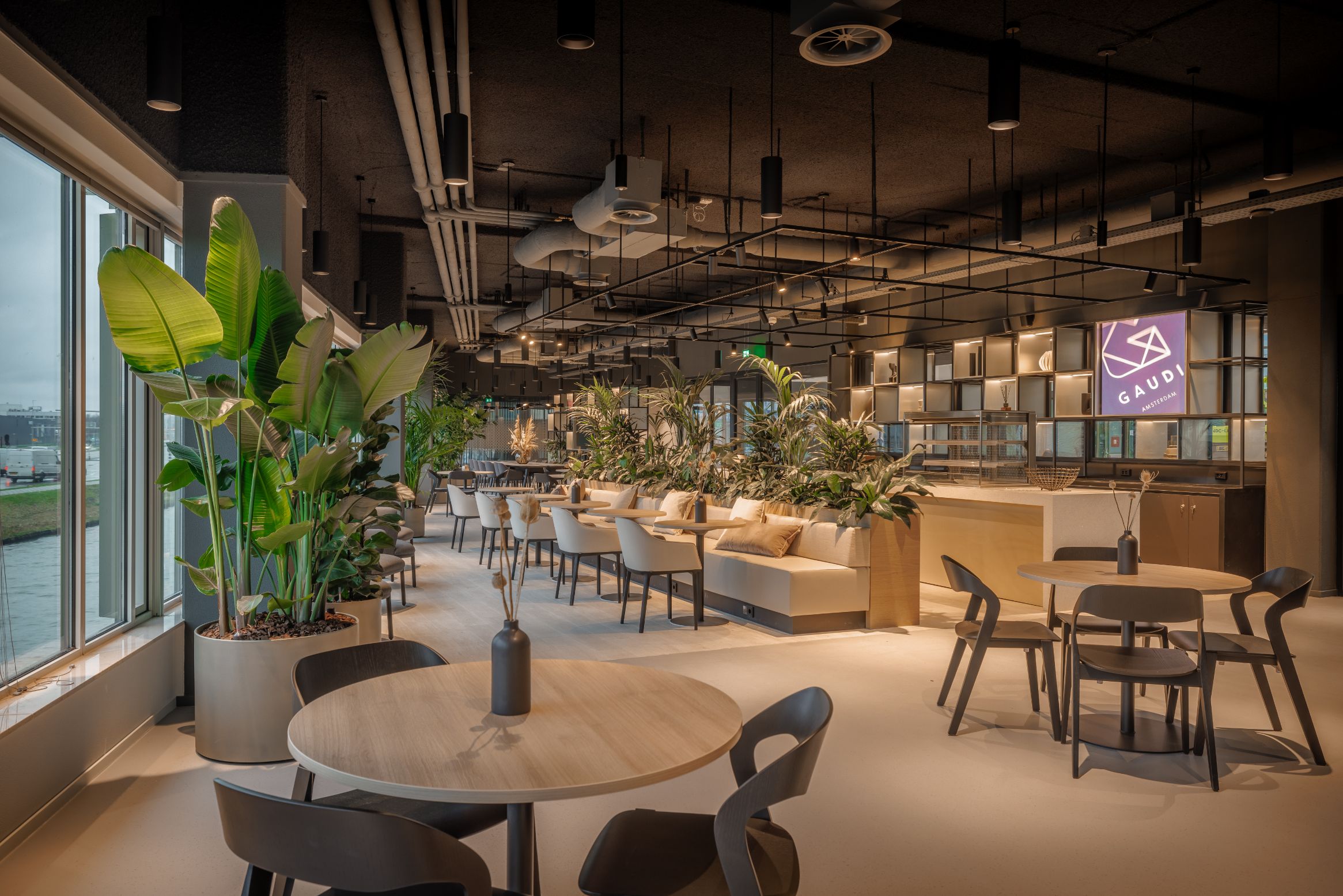 Flexado - Amsterdam Nederland