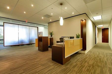 Barton Springs in Austin