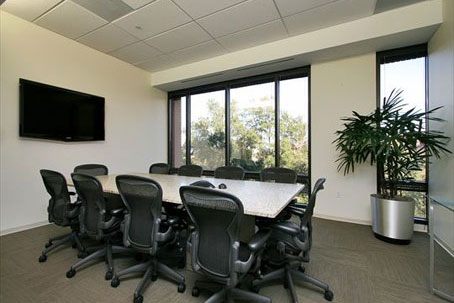 Barton Springs in Austin