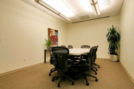 Barton Springs in Austin