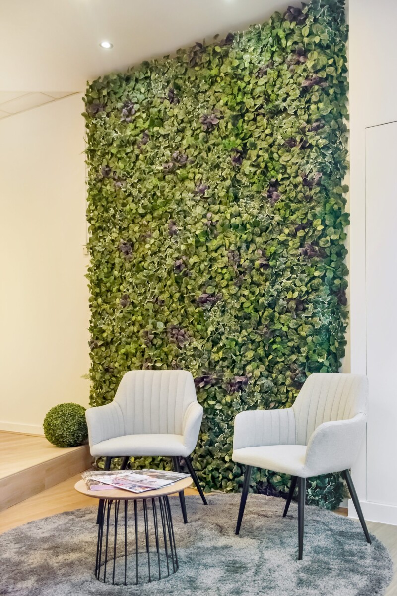 Rue d'Havré in Mons