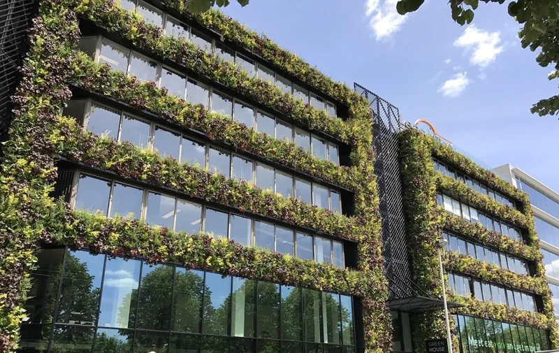 Flexado - Antwerpen België