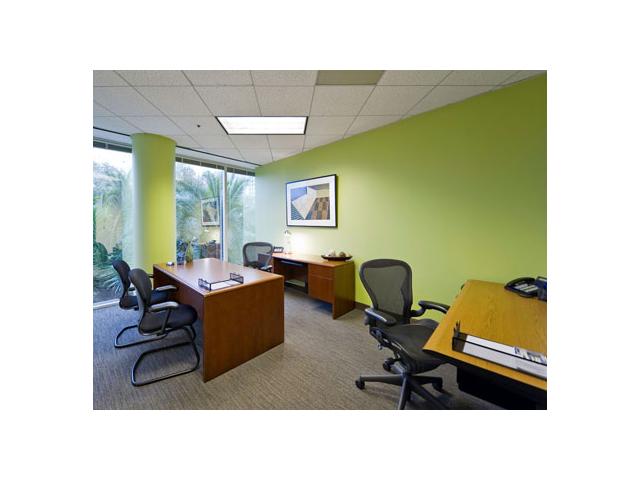 3001 N. Rocky Point Drive East in Tampa