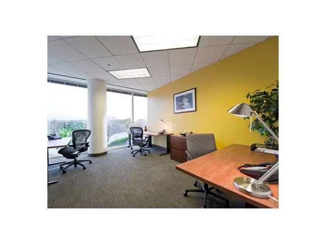 3001 N. Rocky Point Drive East in Tampa