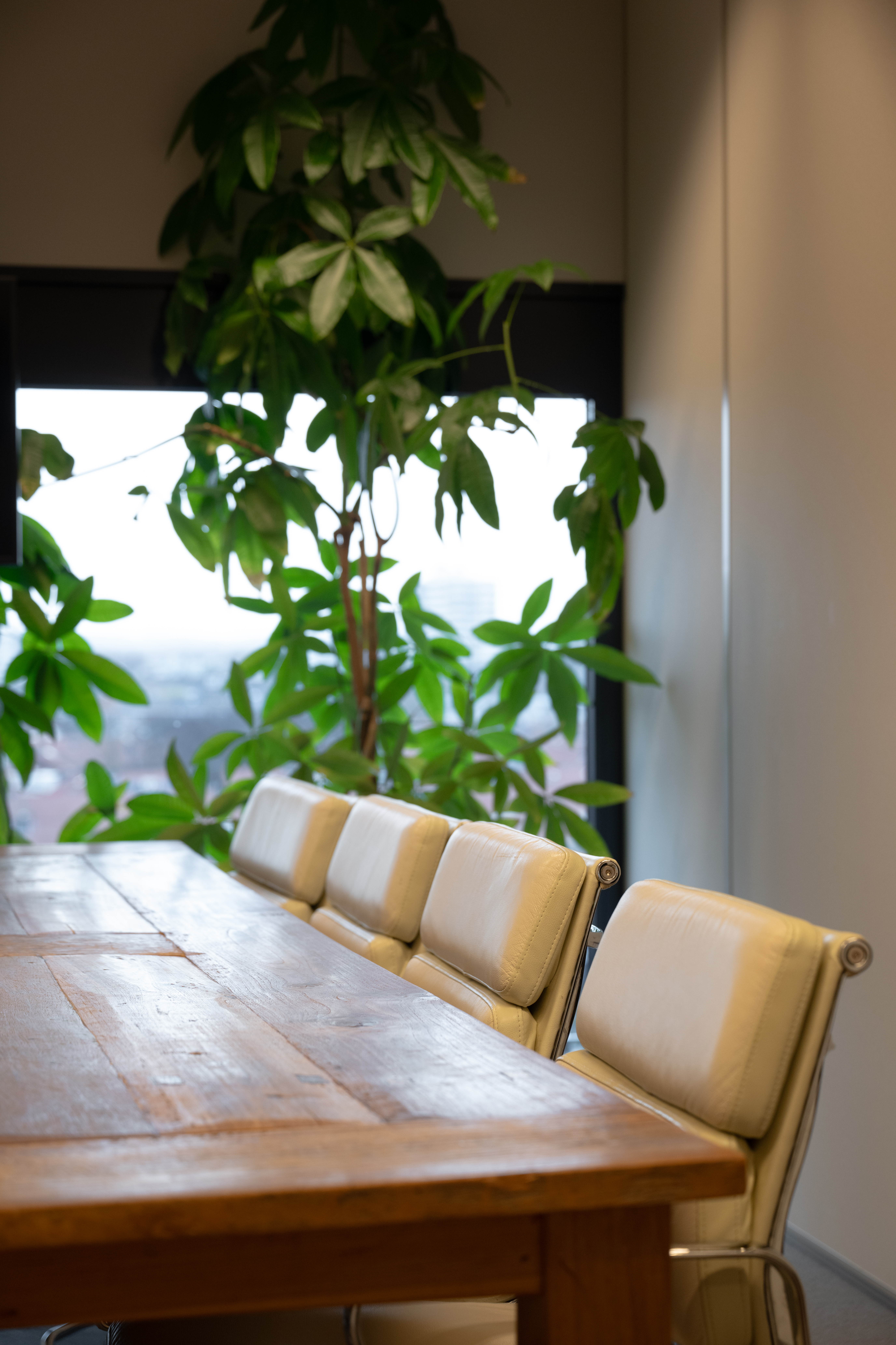 Wim Duisenbergplantsoen in Maastricht