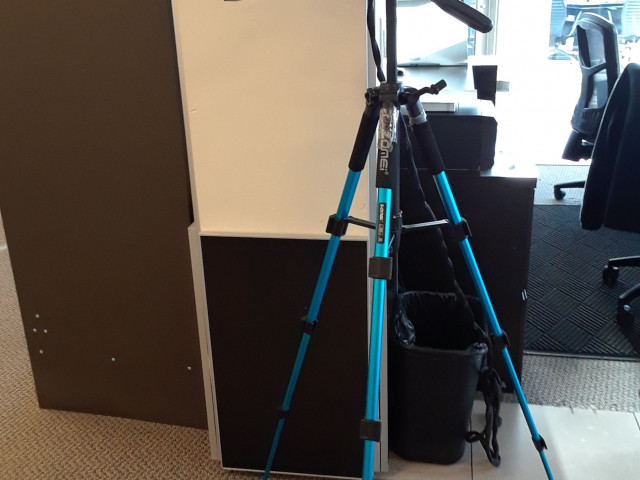 1900 Camden Ave in San Jose