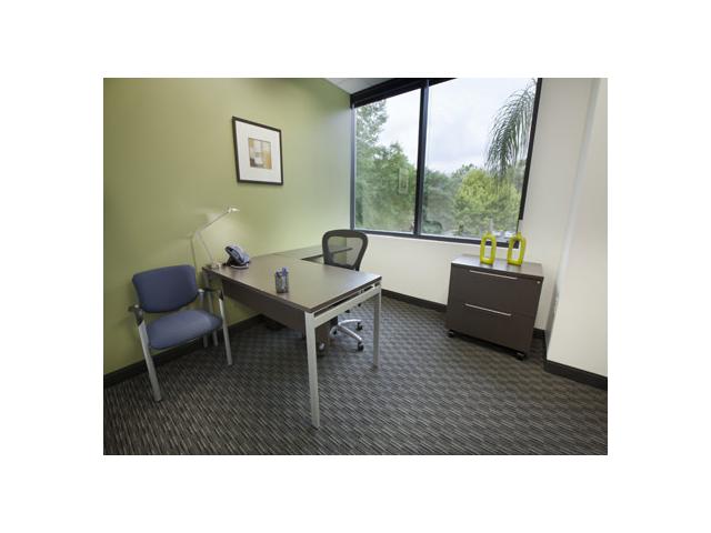 3505 Lake Lynda Dr in Orlando